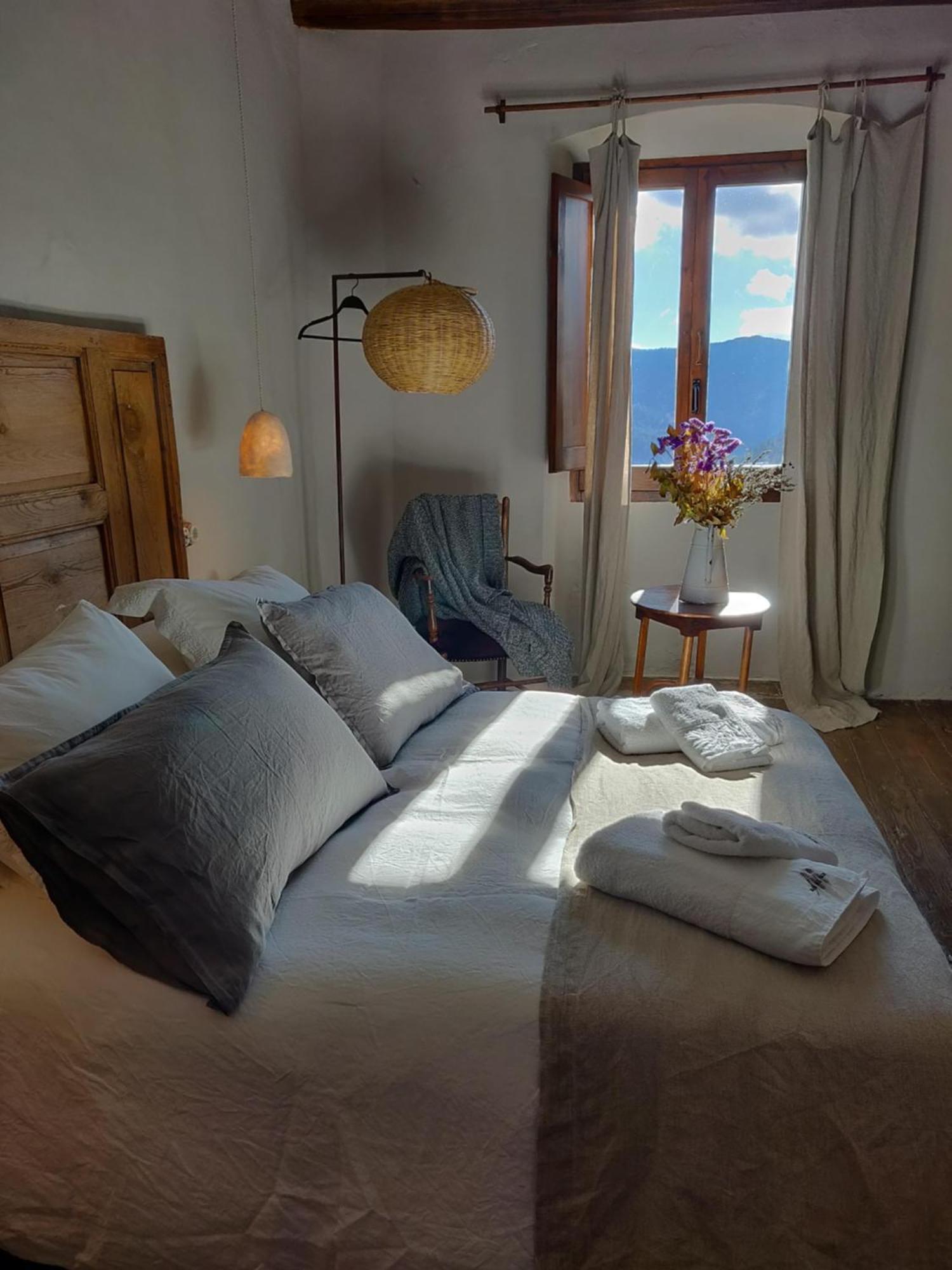 Mas El Mir Guest House Ripoll Exterior photo
